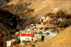 روستای کشار سفلی و علیا