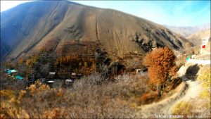 روستای کشار سفلی و علیا