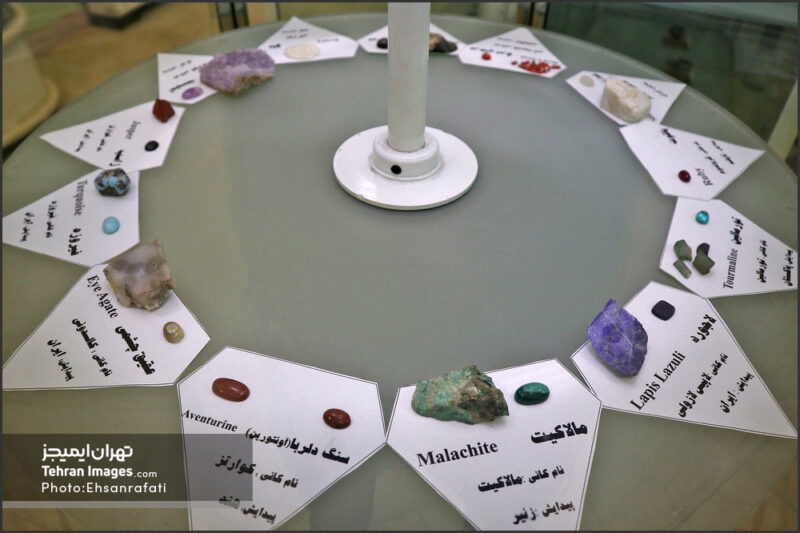 موزه حیات وحش هفت‌چنار