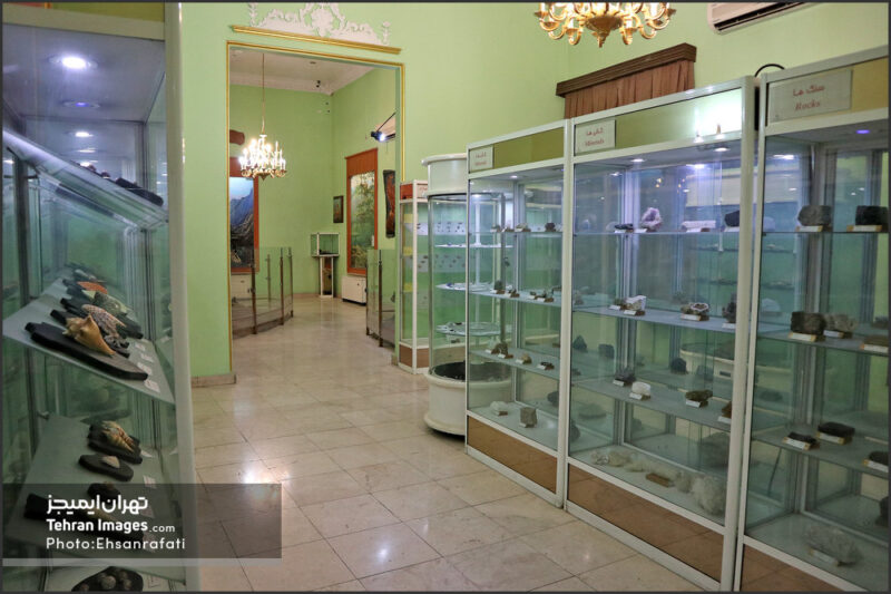 موزه حیات وحش هفت‌چنار